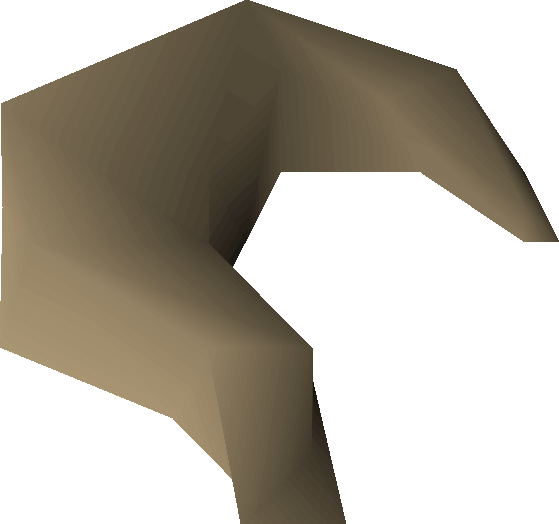 File:Nasturtium seed 1 detail.png