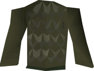 Ahrim's robetop (Last Man Standing) detail.png