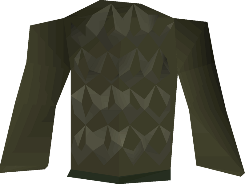File:Ahrim's robetop (Last Man Standing) detail.png