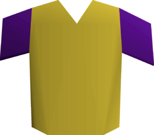 Menaphite purple top detail.png