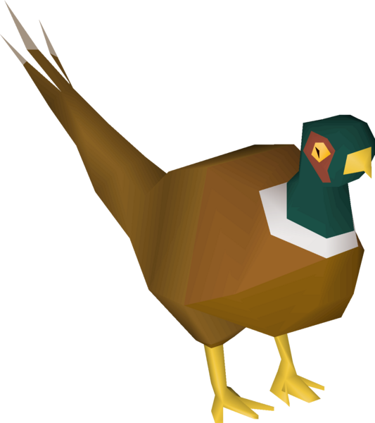File:Pheasant (pet) detail.png