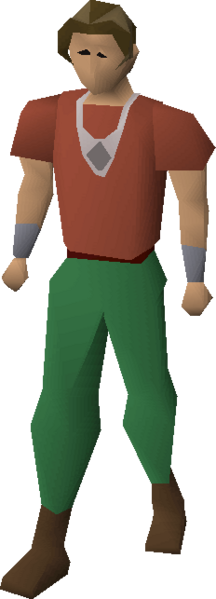 File:Silver necklace equipped.png