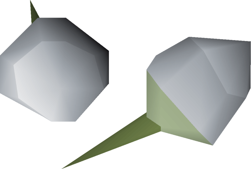 File:Snowdrop seed 2 detail.png