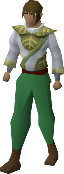 File:3rd age druidic robe top equipped male.png