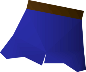 Shorts (blue) detail.png