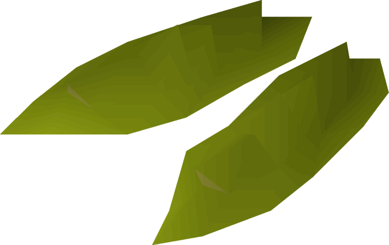 File:Willow seed 2 detail.png