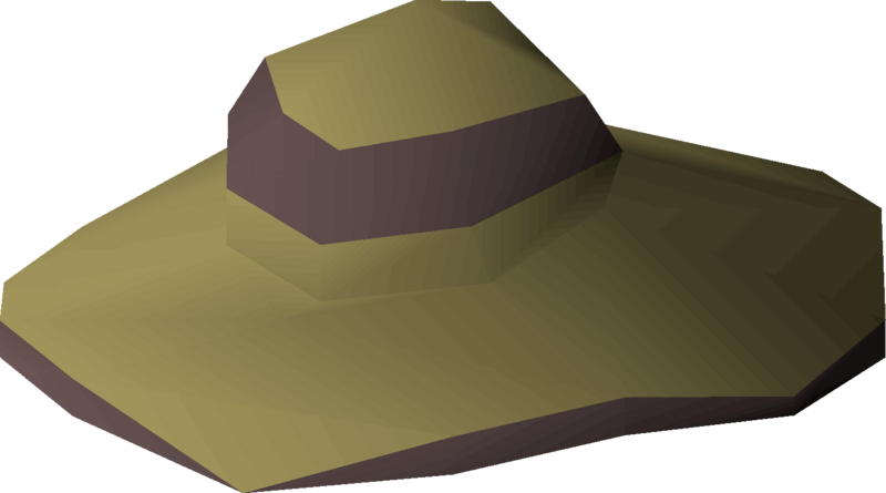 File:Moonclan hat detail.png