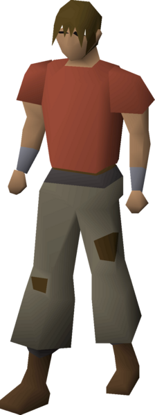 File:Builder's trousers equipped male.png