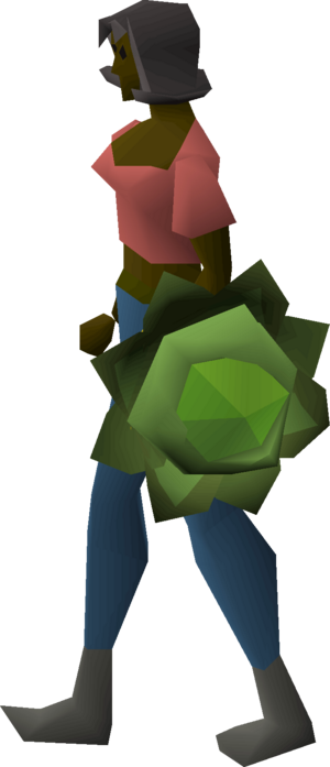 Cabbage round shield equipped female.png
