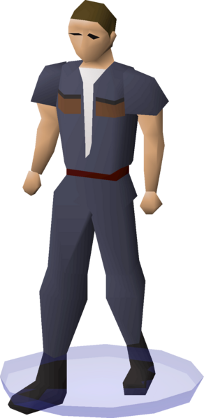 File:Clan wars cape (PVP Championship Blue 6) equipped.png