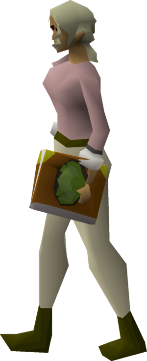 Cruciferous codex equipped female.png