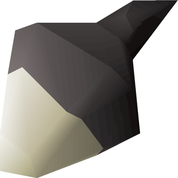 File:Calcified acorn detail.png