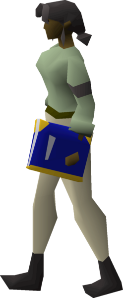 File:Damaged book (Saradomin) equipped female.png