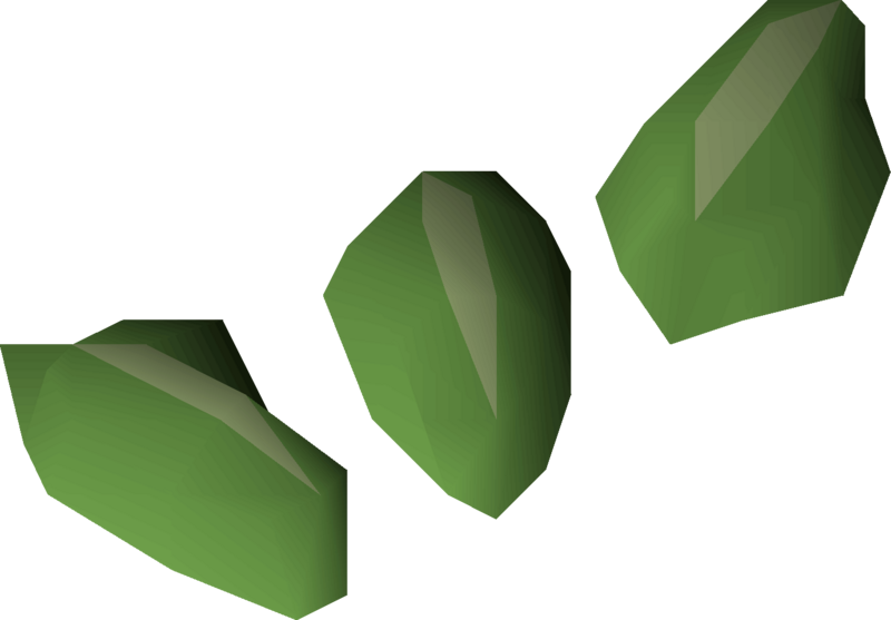 File:Vine seed 3 detail.png