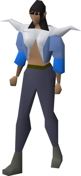 File:Mystic robe top equipped female.png