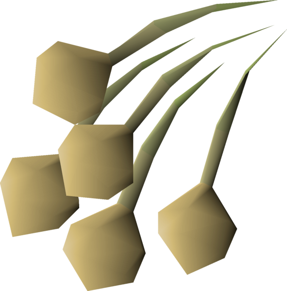 File:Onion seed detail.png