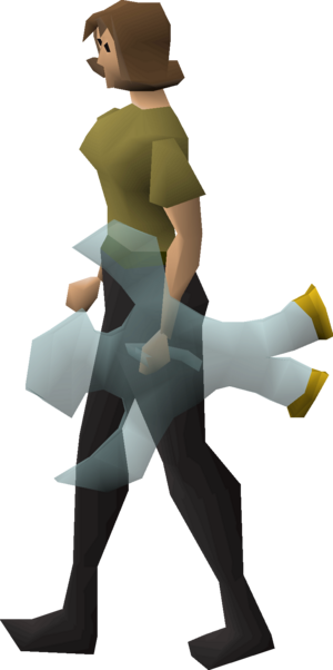 Elidinis' ward equipped female.png