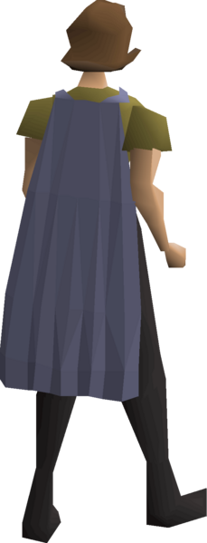 File:Fremennik blue cloak equipped female.png