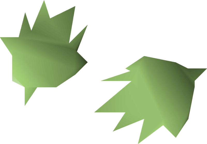 File:Cactus seed 2 detail.png