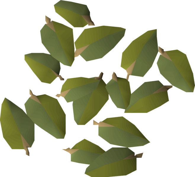 File:Mahogany leaves detail.png