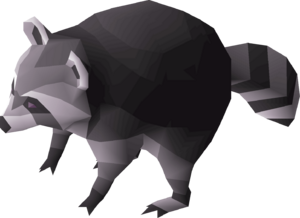 Rocky detail.png