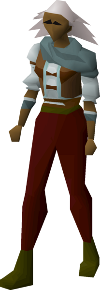 File:Trailblazer top (t2) equipped female.png