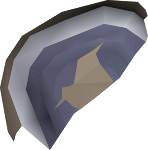 Broken shield (left) detail.png