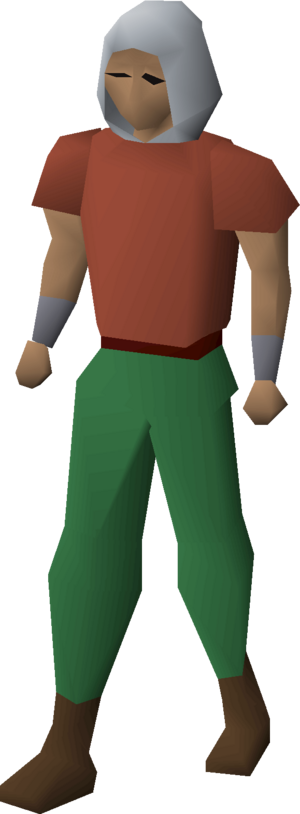 Adventurer's hood (t1) equipped male.png