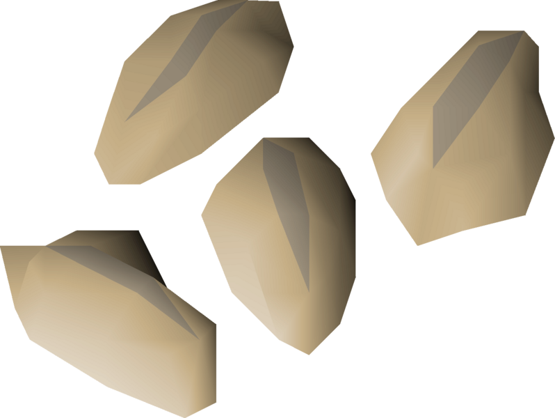 File:Barley seed 4 detail.png