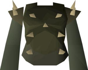 Karil's leathertop detail.png