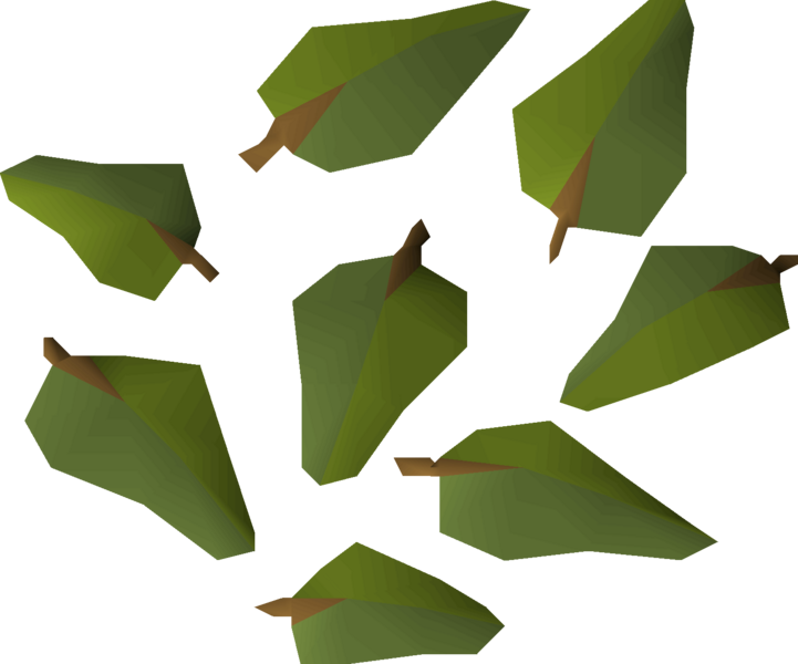 File:Yew leaves v1 detail.png
