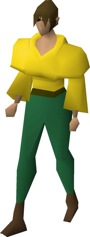 Egg priest robe top equipped female.png