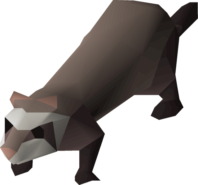 File:Ferret detail.png