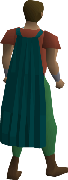 File:Fremennik teal cloak equipped.png