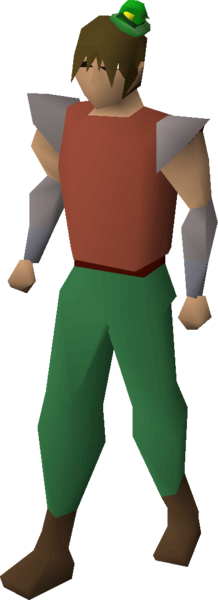 File:Leprechaun hat equipped.png