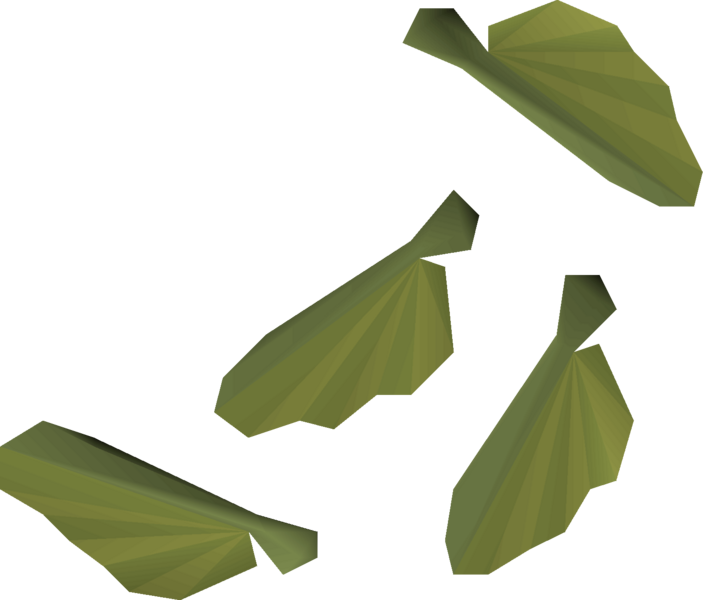 File:Maple seed 4 detail.png