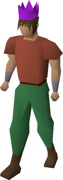 File:Purple partyhat equipped.png