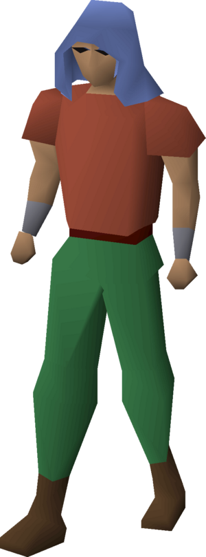 Castlewars hood (Saradomin) equipped.png