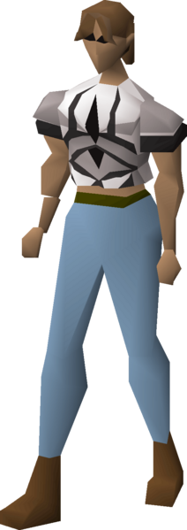 File:Graceful top (Kourend) equipped female.png