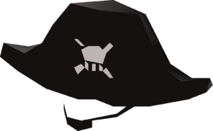 Pirate hat patch detail.png