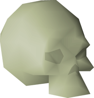 Small fossilised skull detail.png