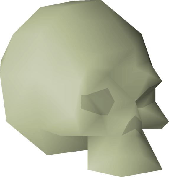 File:Small fossilised skull detail.png