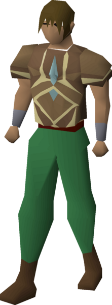 File:Graceful top (Trailblazer) equipped male.png