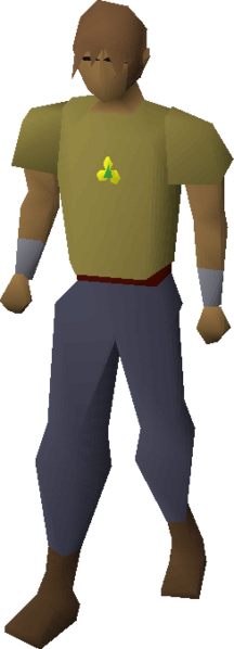 File:Pendant of lucien equipped.png