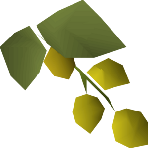 Yanillian hops detail.png