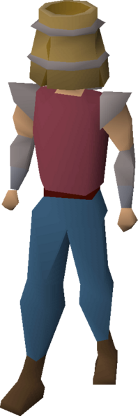 File:Bucket helm equipped.png