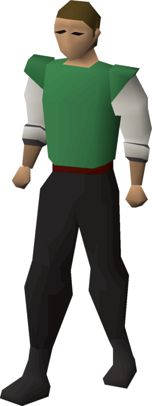 Dni23 arms princely equipped male.png