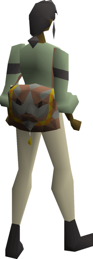 Lost bag equipped female.png