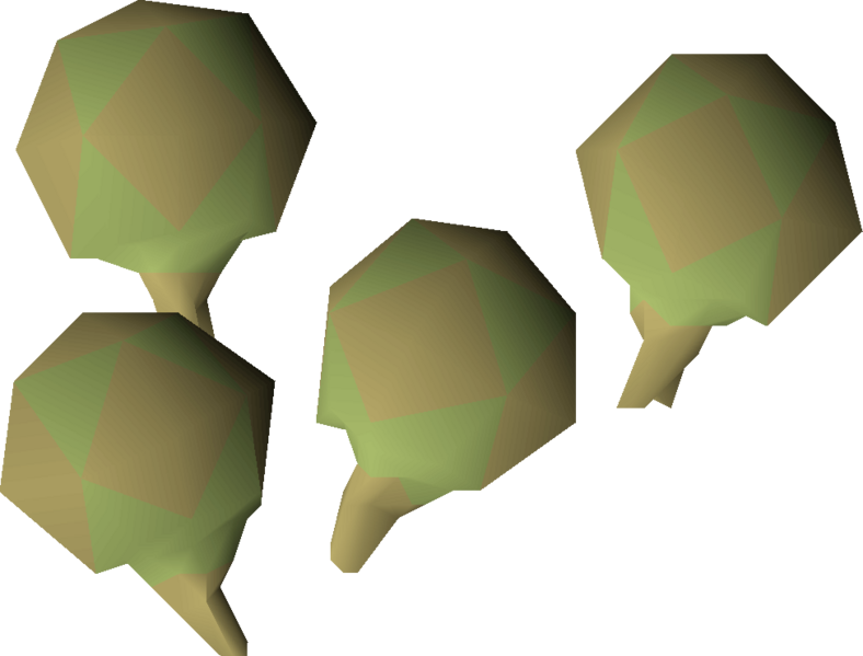 File:Potato cactus seed 4 detail.png