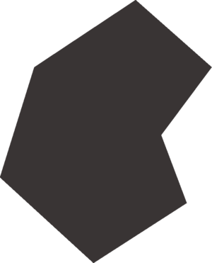 Black butterfly wing detail.png